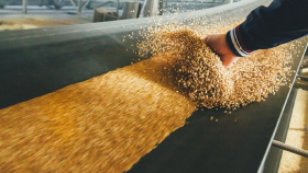 В России хотят отменить квоты на экспорт зерна